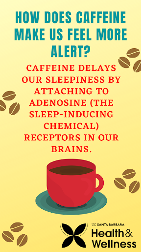 'Sleep and Caffeine'