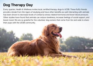 Dog Therapy Day Description Tall