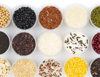 Wellness Rice & Beans image